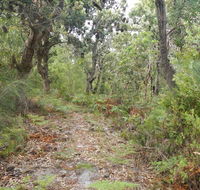 Kinchela Trig Lookout walk - Palm Beach Accommodation