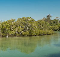 Tyagarah Nature Reserve - Palm Beach Accommodation