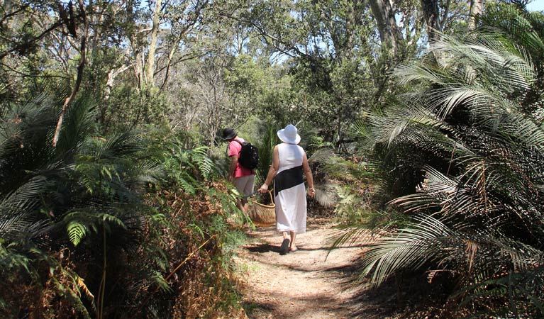 Mogareeka NSW Palm Beach Accommodation
