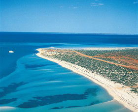 Monkey Mia WA Palm Beach Accommodation