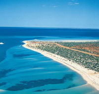 Monkey Mia - Palm Beach Accommodation