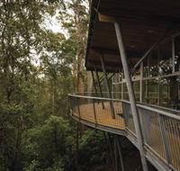 Tarkine Forest Adventures - Dismal Swamp - Palm Beach Accommodation