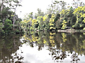 Arthur River TAS Palm Beach Accommodation