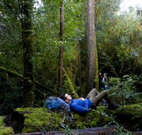 The Tarkine Drive - Palm Beach Accommodation