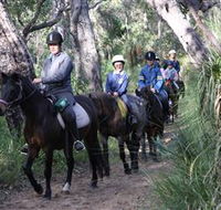Mirravale Horse Riding School - Palm Beach Accommodation