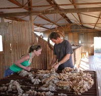 Peron Homestead - Palm Beach Accommodation