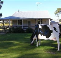 Millers Ice Cream - Palm Beach Accommodation