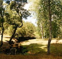 Oldina Picnic Area - Palm Beach Accommodation