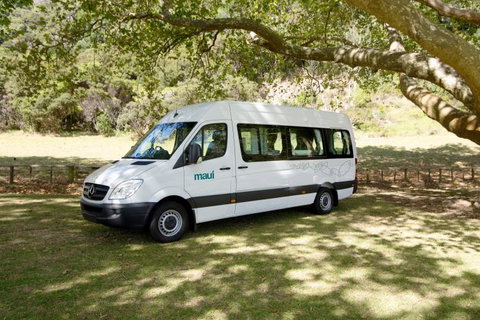 Maui Motorhomes - Palm Beach Accommodation 6