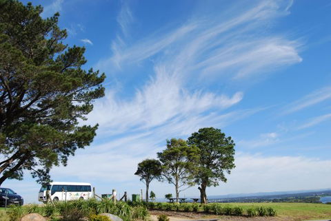 South Coast Scenic Tours - Palm Beach Accommodation 6