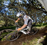 All Terrain Cycles - Palm Beach Accommodation