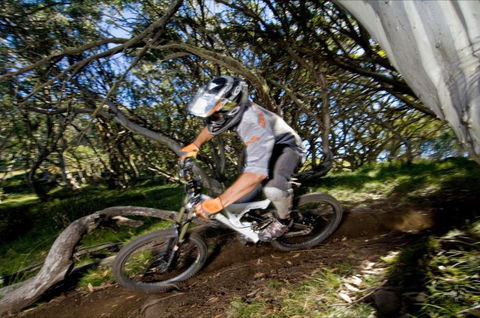 All Terrain Cycles - Palm Beach Accommodation 0