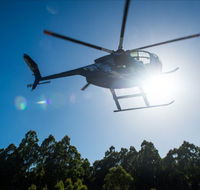 Tall Timbers Adventure Tours - Palm Beach Accommodation