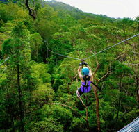 Canyon Flyer - Palm Beach Accommodation