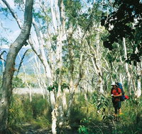 Thorsborne Trail Hinchinbrook Island National Park - Palm Beach Accommodation