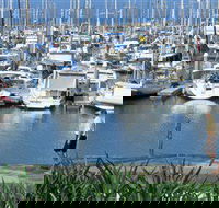 Southern Moreton Bay Tourist Drive - Palm Beach Accommodation