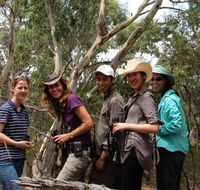 Echidna Walkabout Nature Tours - Palm Beach Accommodation