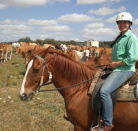 Myella Farm Stay Tours - Palm Beach Accommodation