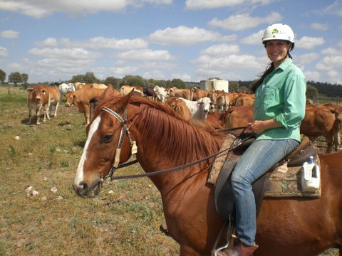 Myella Farm Stay Tours - Palm Beach Accommodation 0