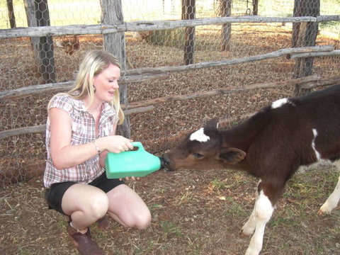 Myella Farm Stay Tours - Palm Beach Accommodation 1