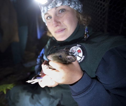 Naturewise At Tidbinbilla - Palm Beach Accommodation 0