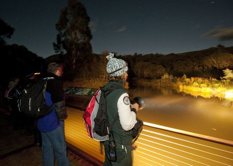 Naturewise At Tidbinbilla - Palm Beach Accommodation 1