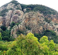 Mount Greville Track - Palm Beach Accommodation