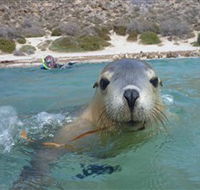 Calypso Star Charters - Palm Beach Accommodation