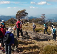 Hedonistic Hiking - Palm Beach Accommodation
