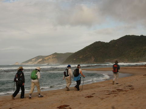 Hedonistic Hiking - Palm Beach Accommodation 2