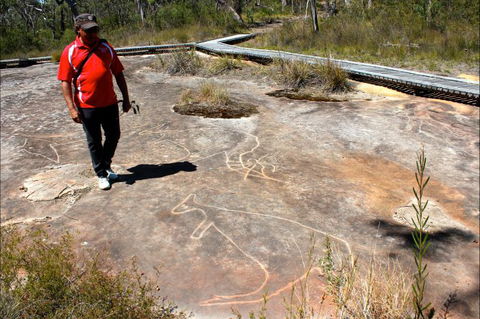 Bara Barang Aboriginal Tours - Palm Beach Accommodation 5