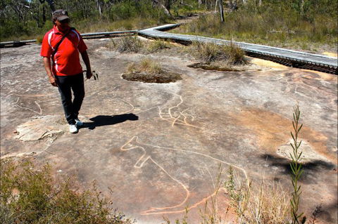 Bara Barang Aboriginal Tours - Palm Beach Accommodation 10
