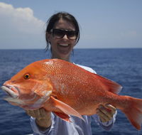 Absolute Ocean Charters - Palm Beach Accommodation