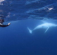 Sunreef Mooloolaba - Palm Beach Accommodation