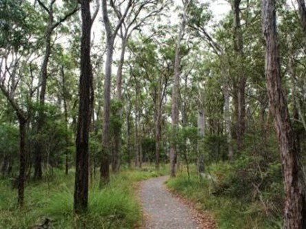 Caboolture Regional Environment Education Centre - Walking Trails - Palm Beach Accommodation 0