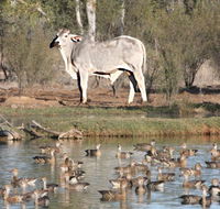 Natural Encounters Trail - Palm Beach Accommodation