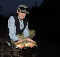 River Escapes - Palm Beach Accommodation