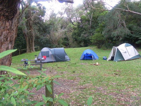 Booderee National Park: Cave Beach Camping Area - Palm Beach Accommodation 0