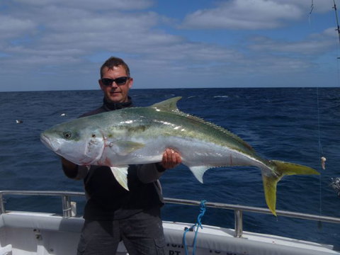 Reef Encounters Fishing Charters. - Palm Beach Accommodation 2