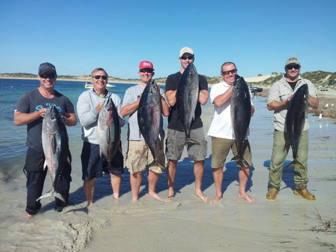 Reef Encounters Fishing Charters. - Palm Beach Accommodation 10