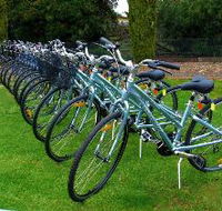 Barossa Bike  - Palm Beach Accommodation