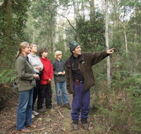 Great Western Tiers Forest Walks Tasmania - Palm Beach Accommodation
