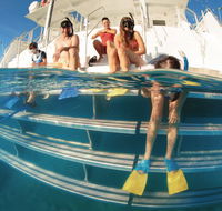 Australian Sunset Safaris - Palm Beach Accommodation