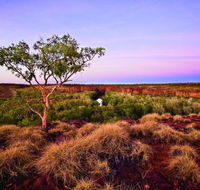 Island Stack Boodjamulla Lawn Hill National Park - Palm Beach Accommodation