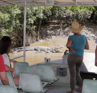 Whitsunday Crocodile Safari - Palm Beach Accommodation