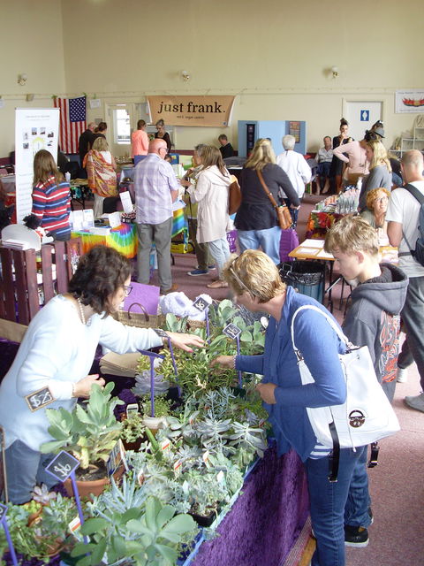Health Harmony And Happiness Festival - Palm Beach Accommodation 0