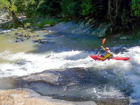 Kayaksnthings - Palm Beach Accommodation 2