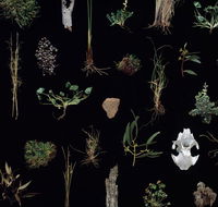 Weswal Gallery - Palm Beach Accommodation