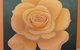 Castlereagh Collectables - thumb 1