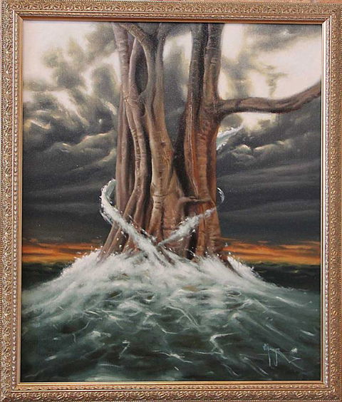 Forsight Gallery - Palm Beach Accommodation 2